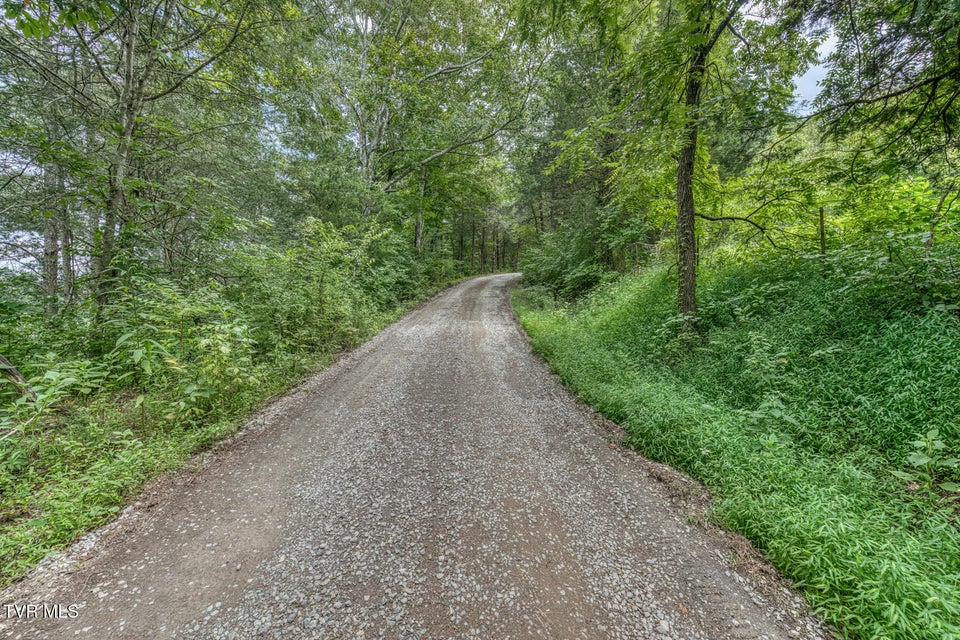 Photo #49: 176 Wade Bulla Road