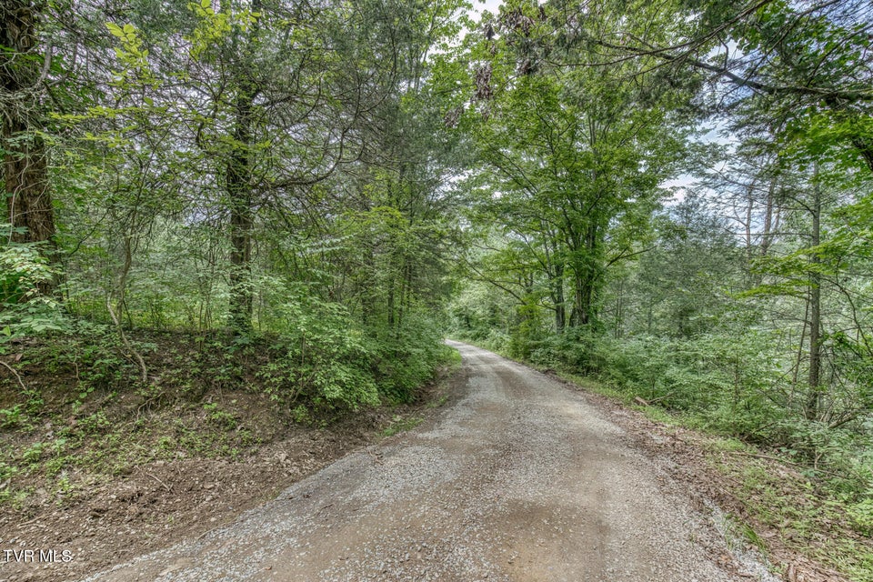Photo #50: 176 Wade Bulla Road