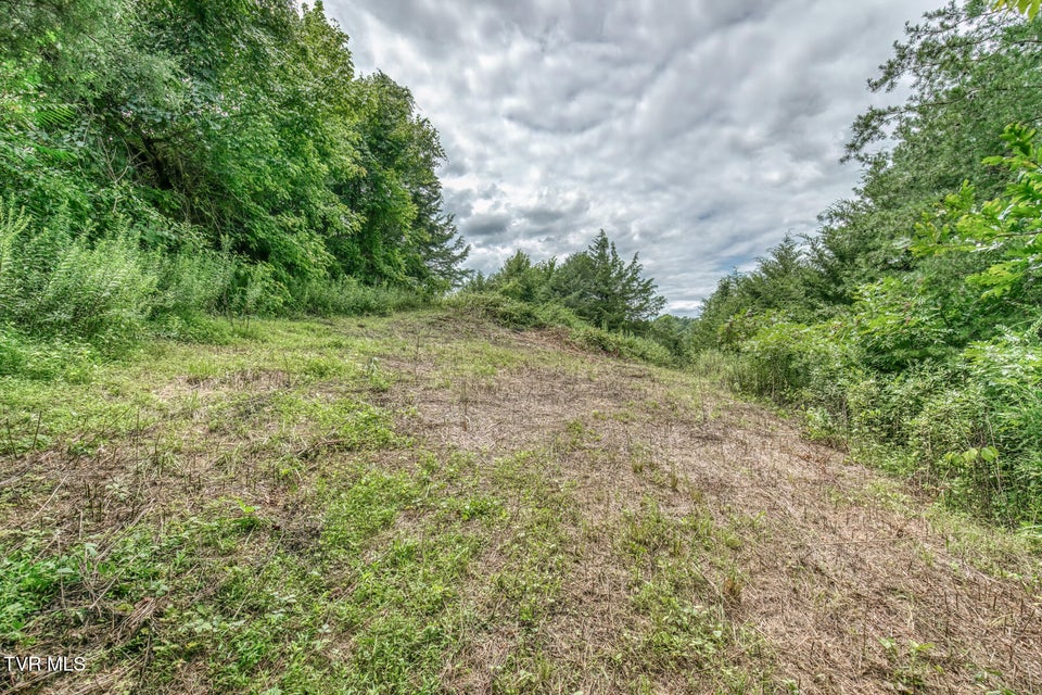 Photo #51: 176 Wade Bulla Road