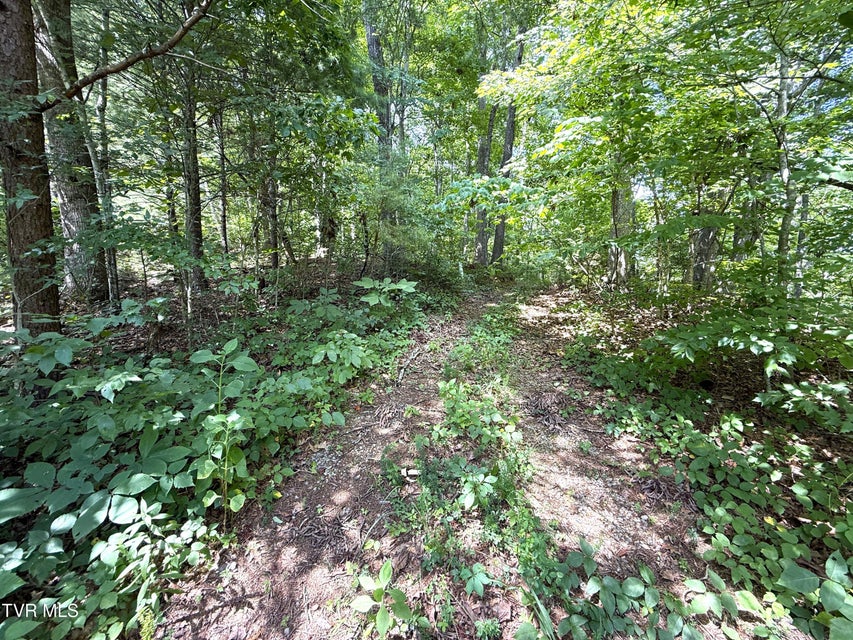 Photo #8: 1461 Ponderosa Road