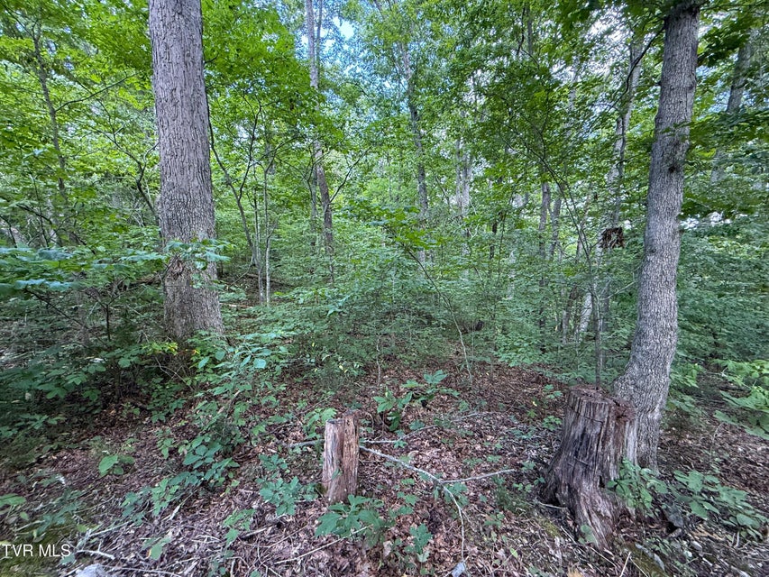 Photo #10: 1461 Ponderosa Road