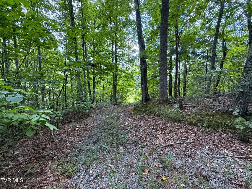 Photo #11: 1461 Ponderosa Road