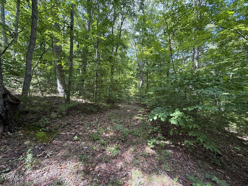 Photo #13: 1461 Ponderosa Road