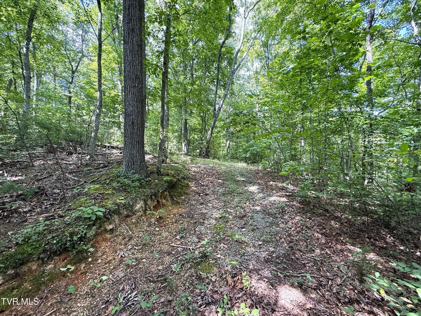 Photo #14: 1461 Ponderosa Road