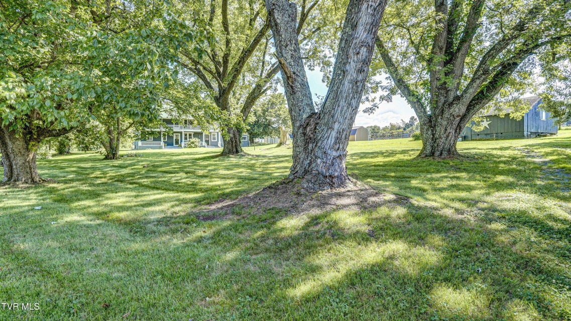 Photo #64: 4743 Greenwood Drive