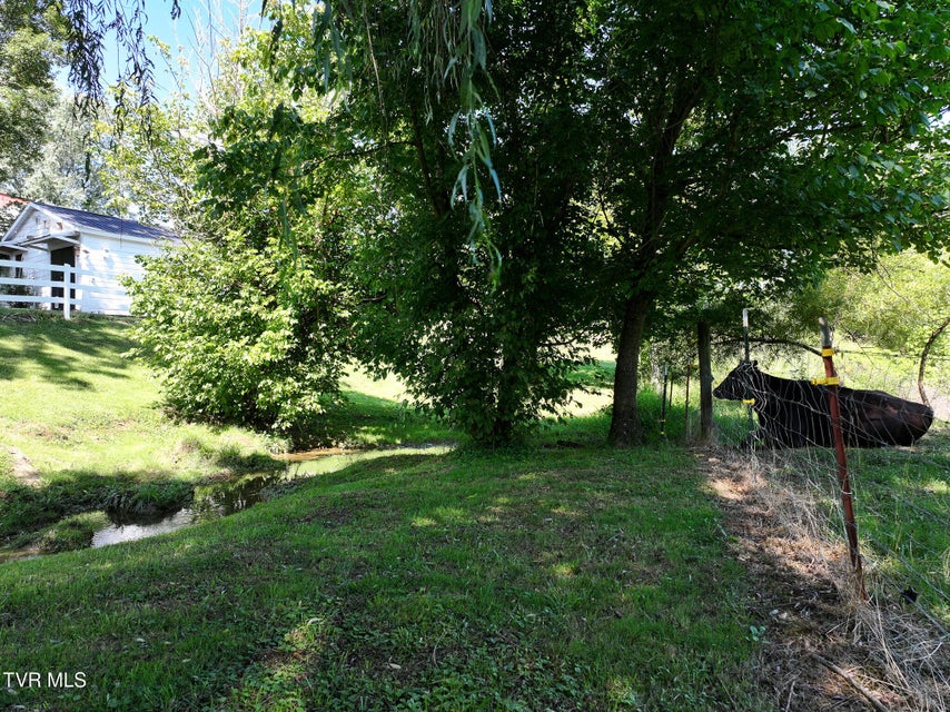 Photo #15: 1005 Old Snapps Ferry Road