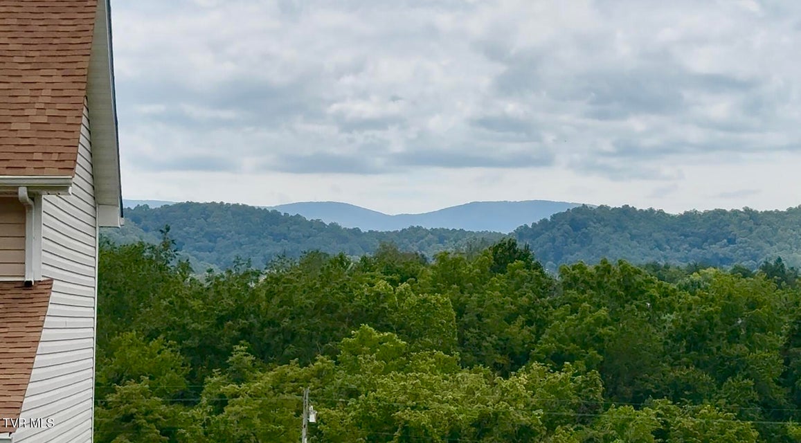 Photo #46: 1017 Barber Road