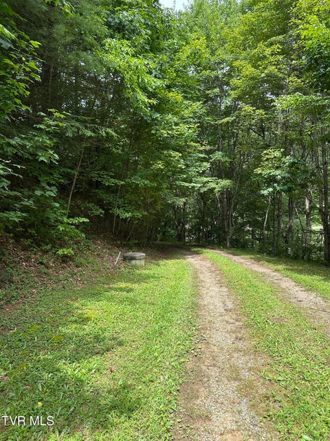 Photo #65: 2121 Shingletown Road