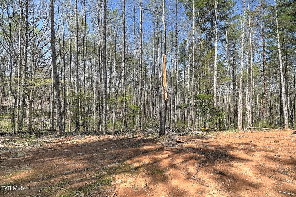 Photo #53: 512 Norris Rd ( Bridle Path) Road