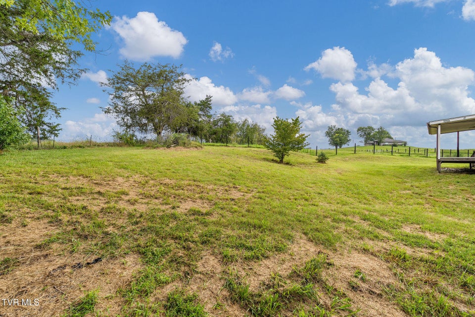 Photo #18: 4520 Clear Springs Road