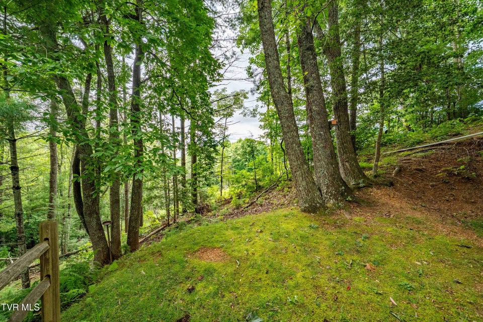 Photo #49: 2121 Shingletown Road