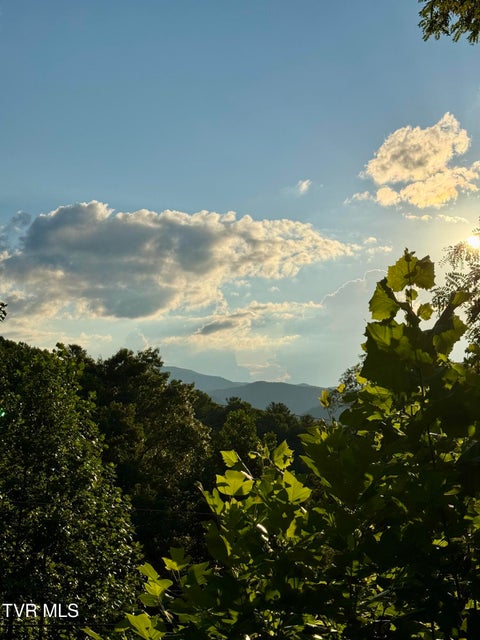 Photo #46: 116 Hasty Boulevard