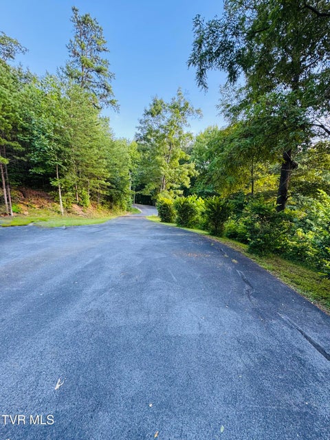 Photo #45: 116 Hasty Boulevard