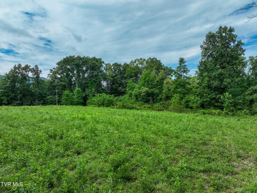Photo #17: 501 Denton Valley Road