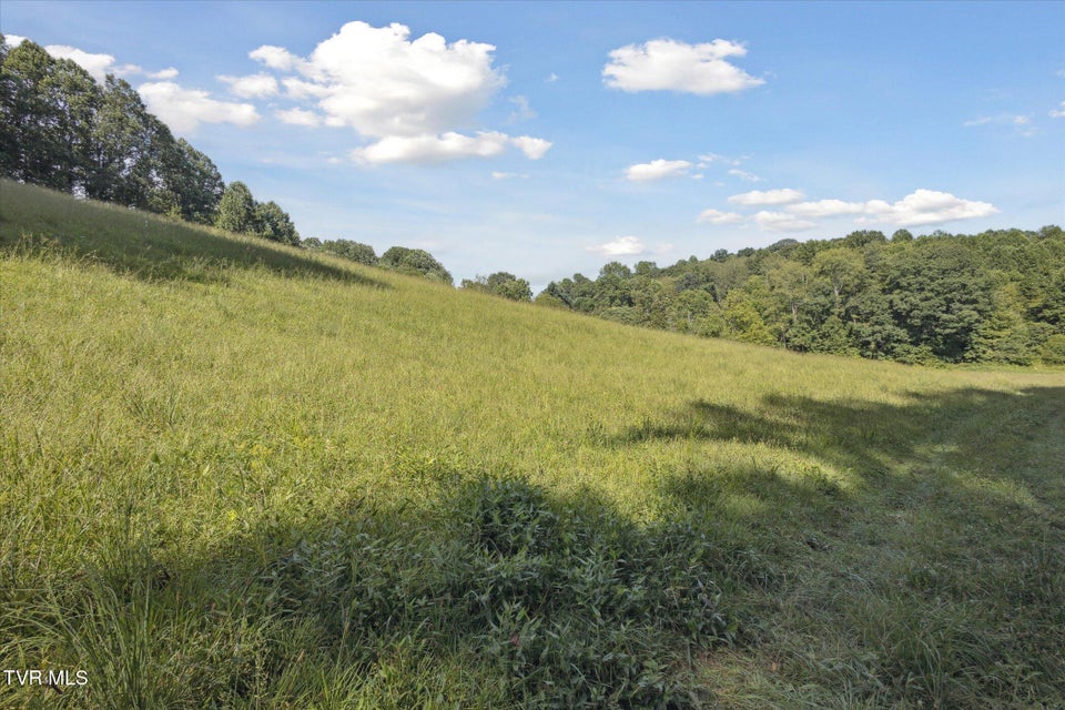 Photo #15: 000 Long Hollow Road
