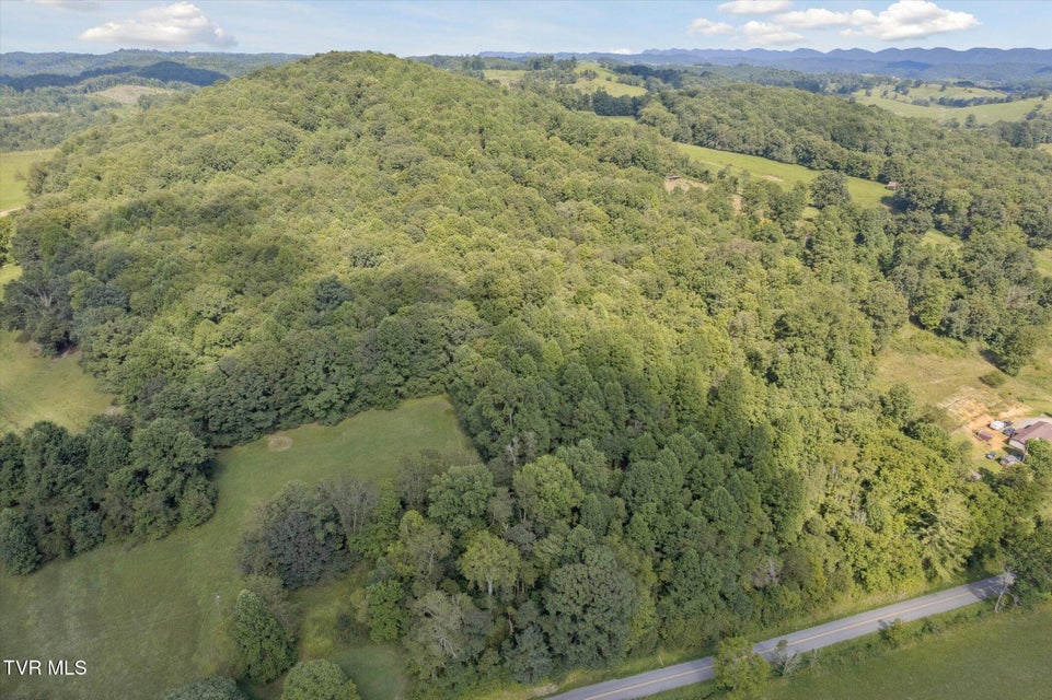 Photo #20: 000 Long Hollow Road