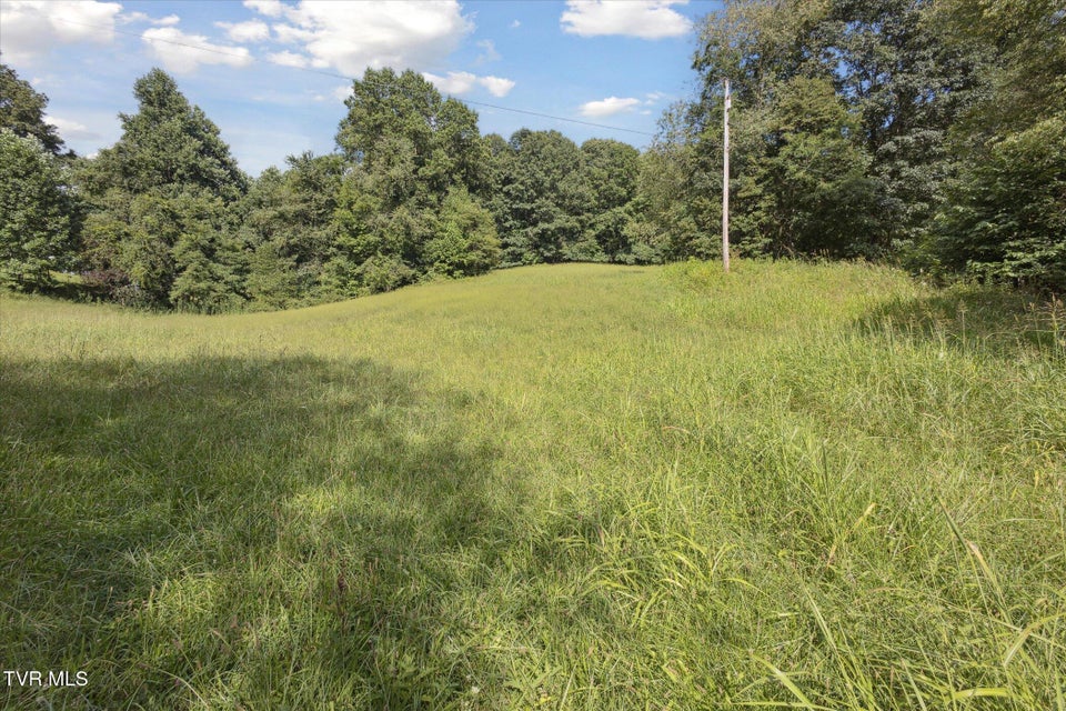 Photo #28: 000 Long Hollow Road