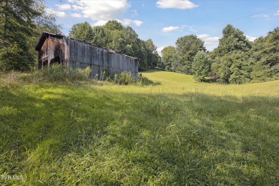 Photo #12: 000 Long Hollow Road