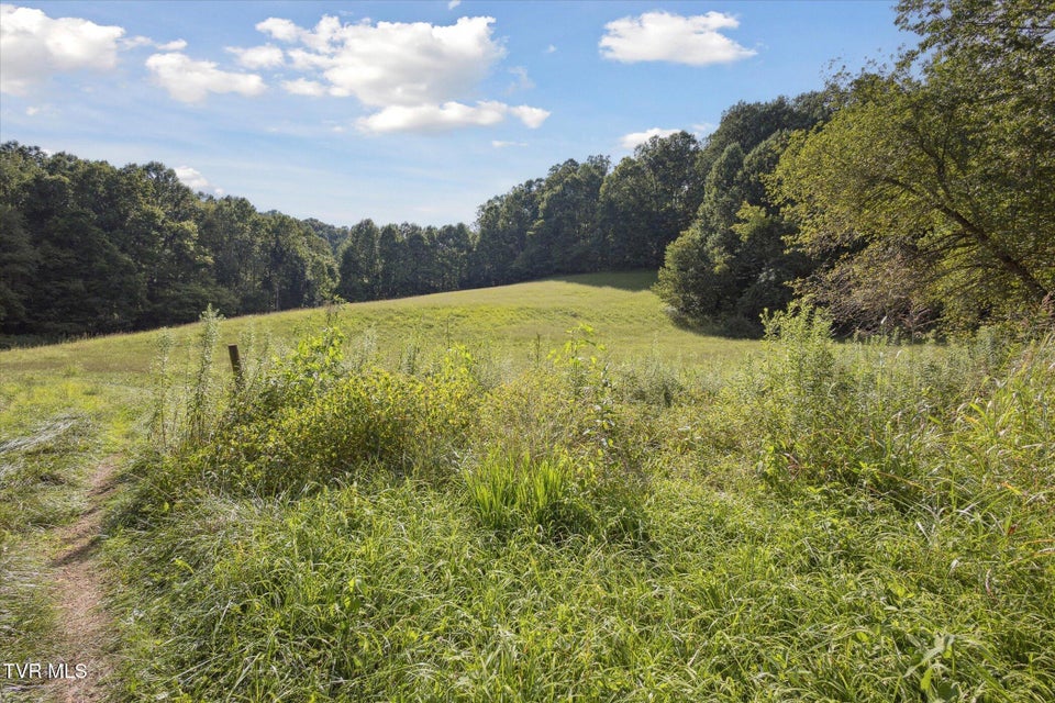Photo #29: 000 Long Hollow Road