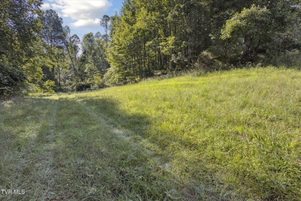 Photo #35: 000 Long Hollow Road