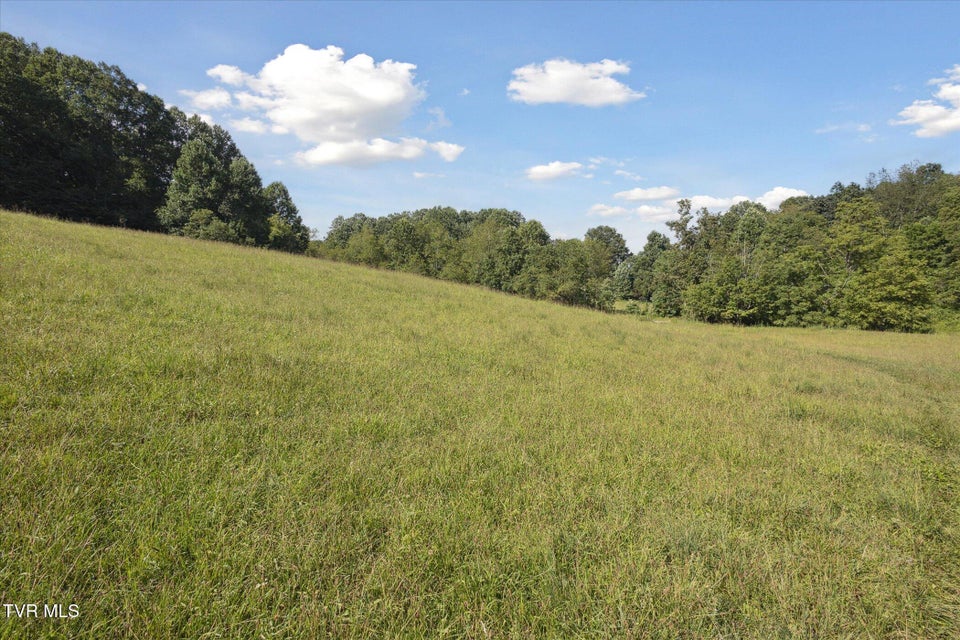 Photo #36: 000 Long Hollow Road