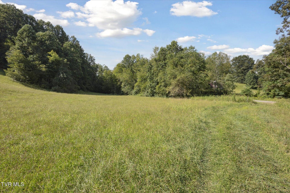 Photo #13: 000 Long Hollow Road