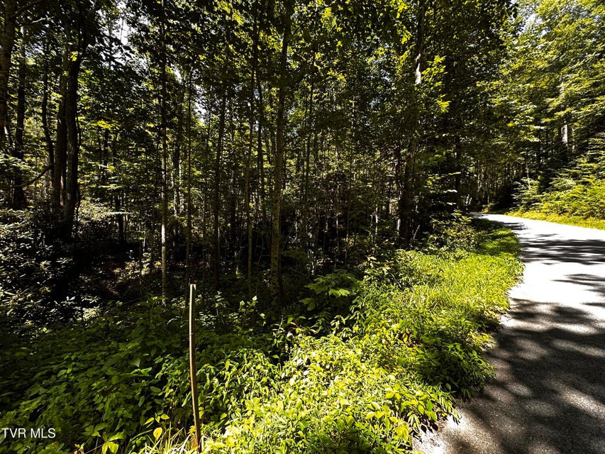 Photo #3: Tbd Viking Mountain Road