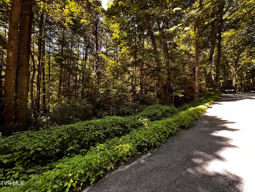 Photo #4: Tbd Viking Mountain Road