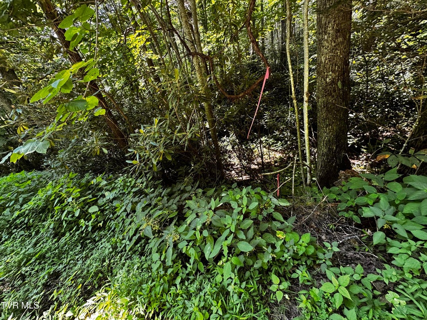 Photo #5: Tbd Viking Mountain Road