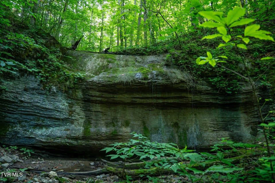 Photo #5: 517/Ac Tbd Gregory Road