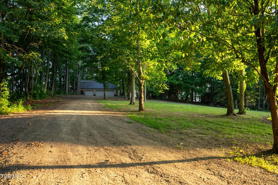 Photo #10: 517/Ac Tbd Gregory Road