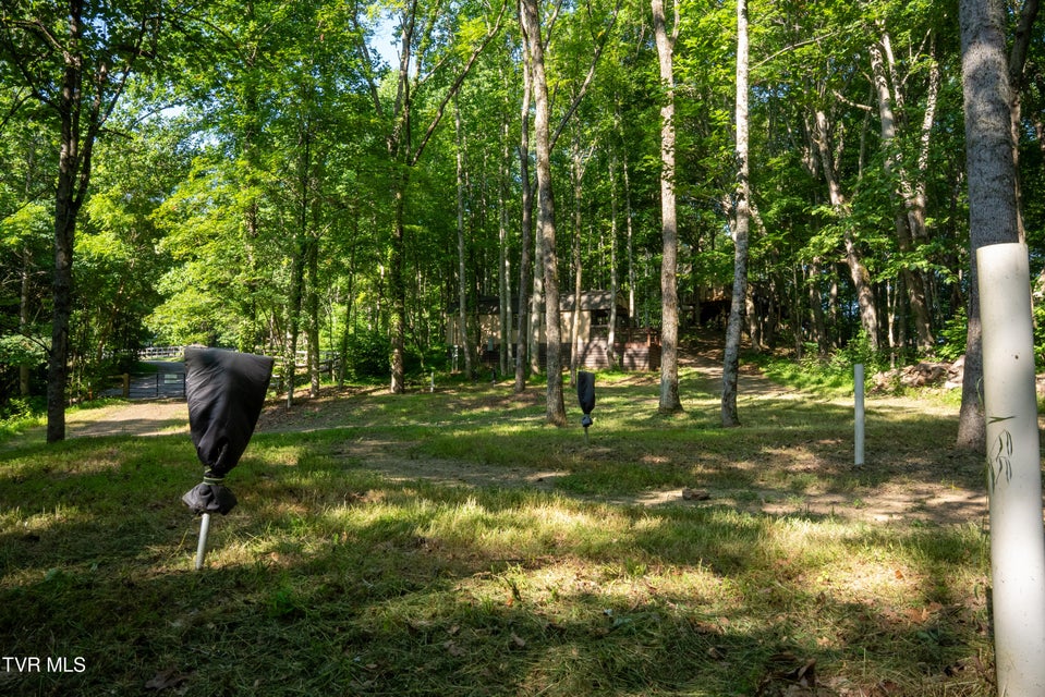Photo #75: 517/Ac Tbd Gregory Road