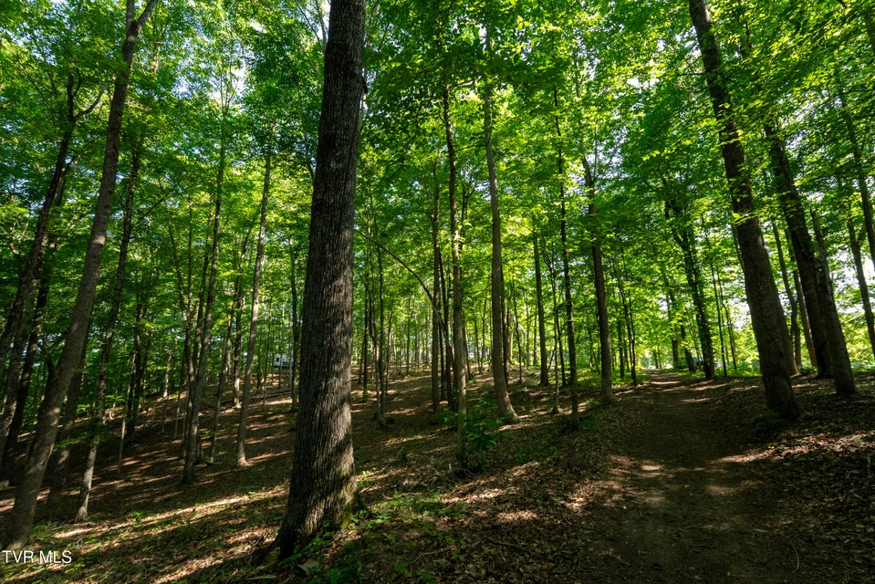 Photo #76: 517/Ac Tbd Gregory Road