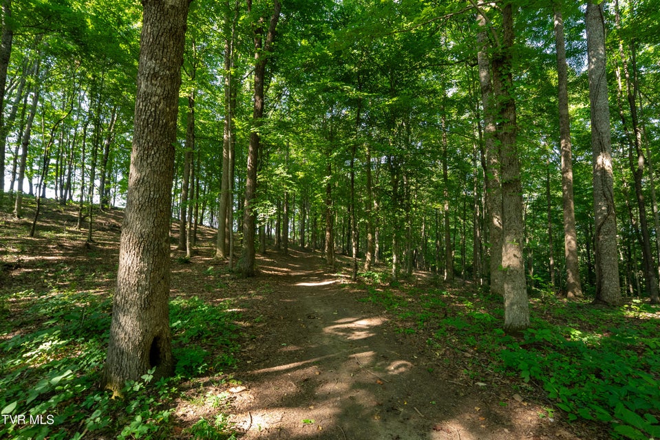 Photo #77: 517/Ac Tbd Gregory Road