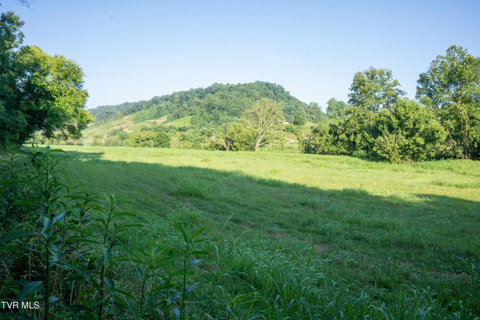 Photo #80: 517/Ac Tbd Gregory Road
