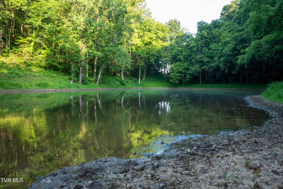 Photo #89: 517/Ac Tbd Gregory Road