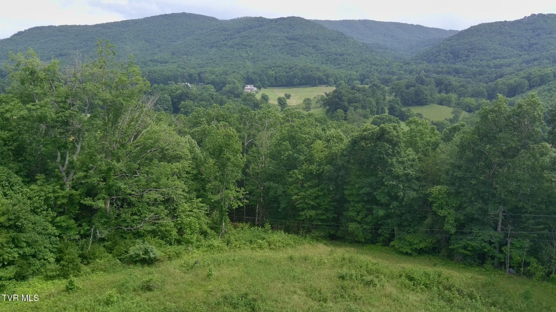 Photo #27: 501 Denton Valley Road
