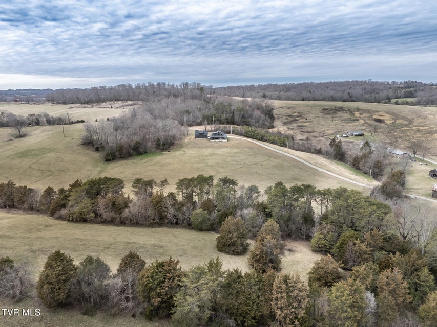 Photo #83: 2150 Sunnyside Road