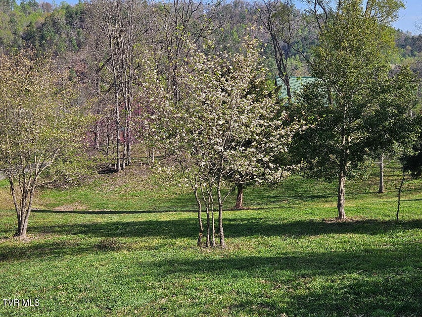 Photo #5: 1881 Norris Road