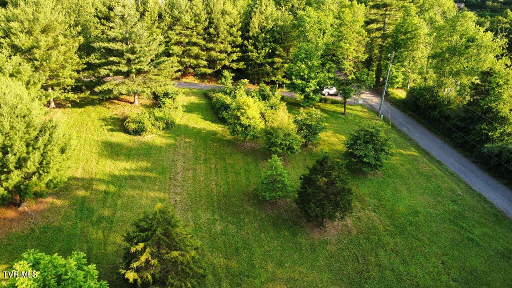 Photo #9: 1881 Norris Road