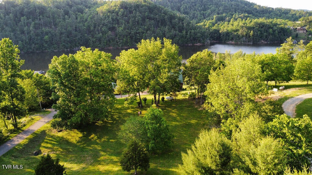 Photo #10: 1881 Norris Road