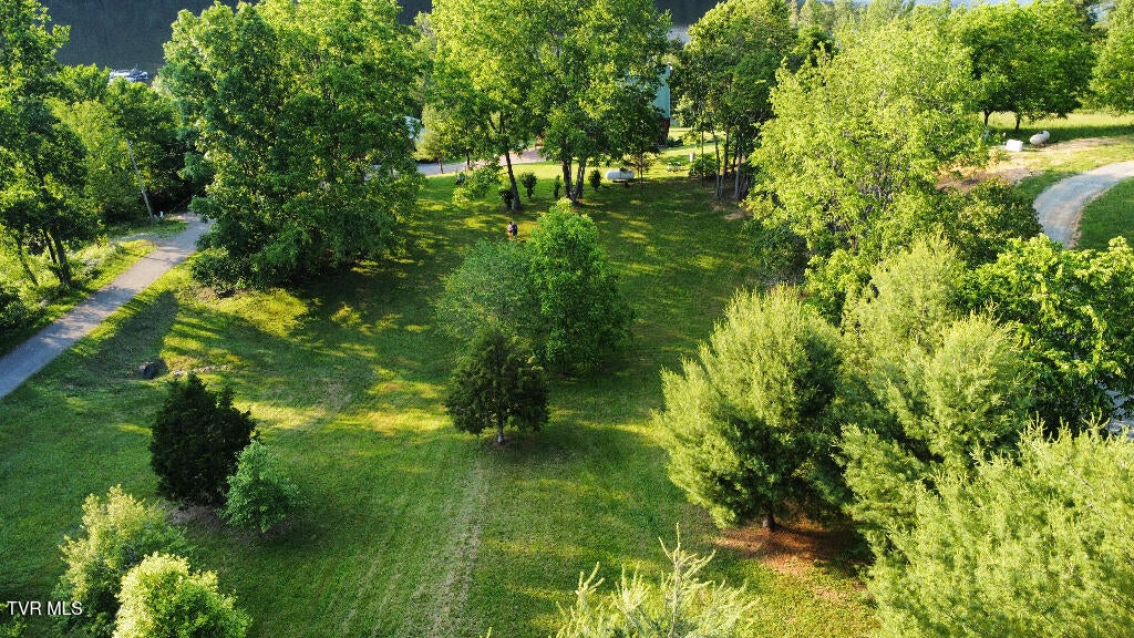 Photo #11: 1881 Norris Road