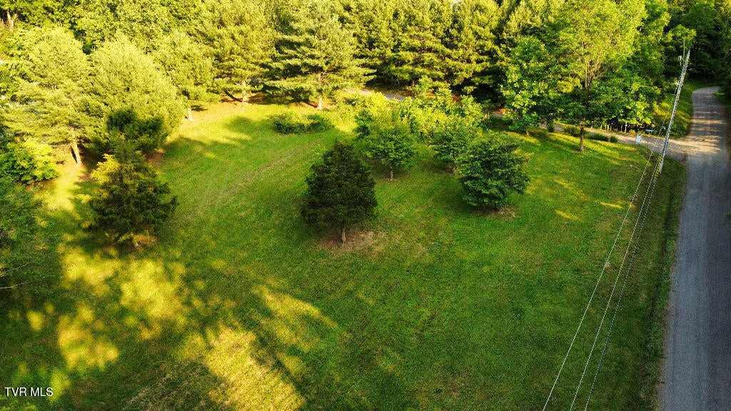 Photo #13: 1881 Norris Road