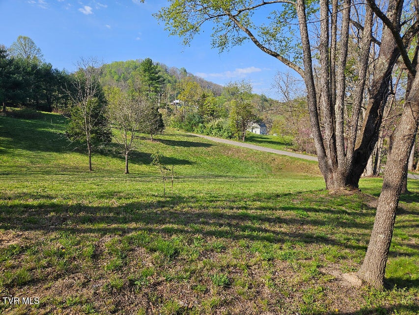 Photo #16: 1881 Norris Road