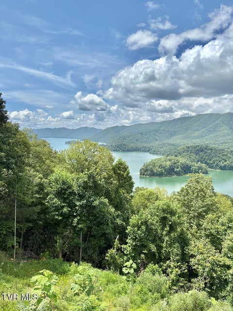 Photo #4: Lot 30 Rock Island 