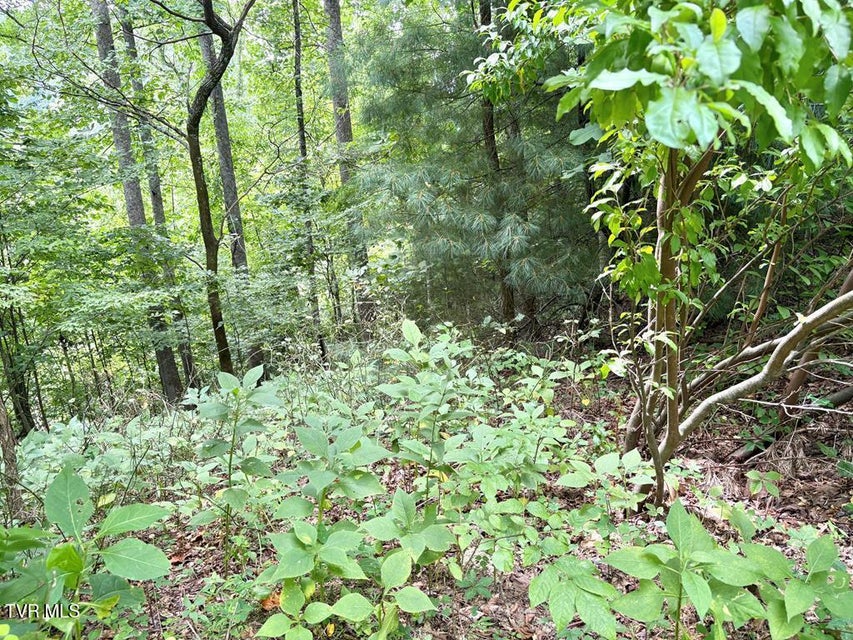 Photo #6: Lot 30 Rock Island 