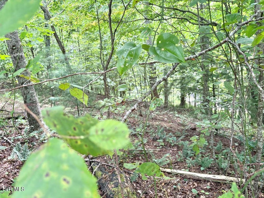 Photo #8: Lot 30 Rock Island 