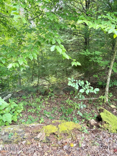 Photo #9: Lot 30 Rock Island 