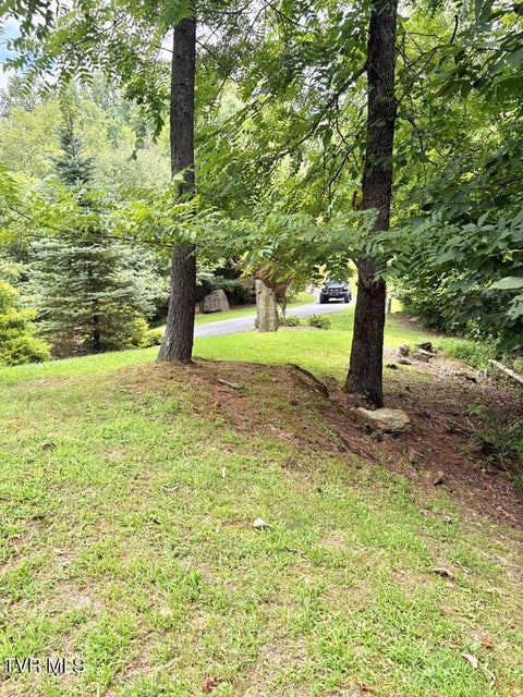 Photo #10: Lot 30 Rock Island 