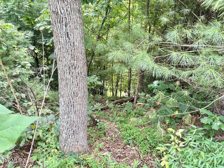 Photo #12: Lot 30 Rock Island 